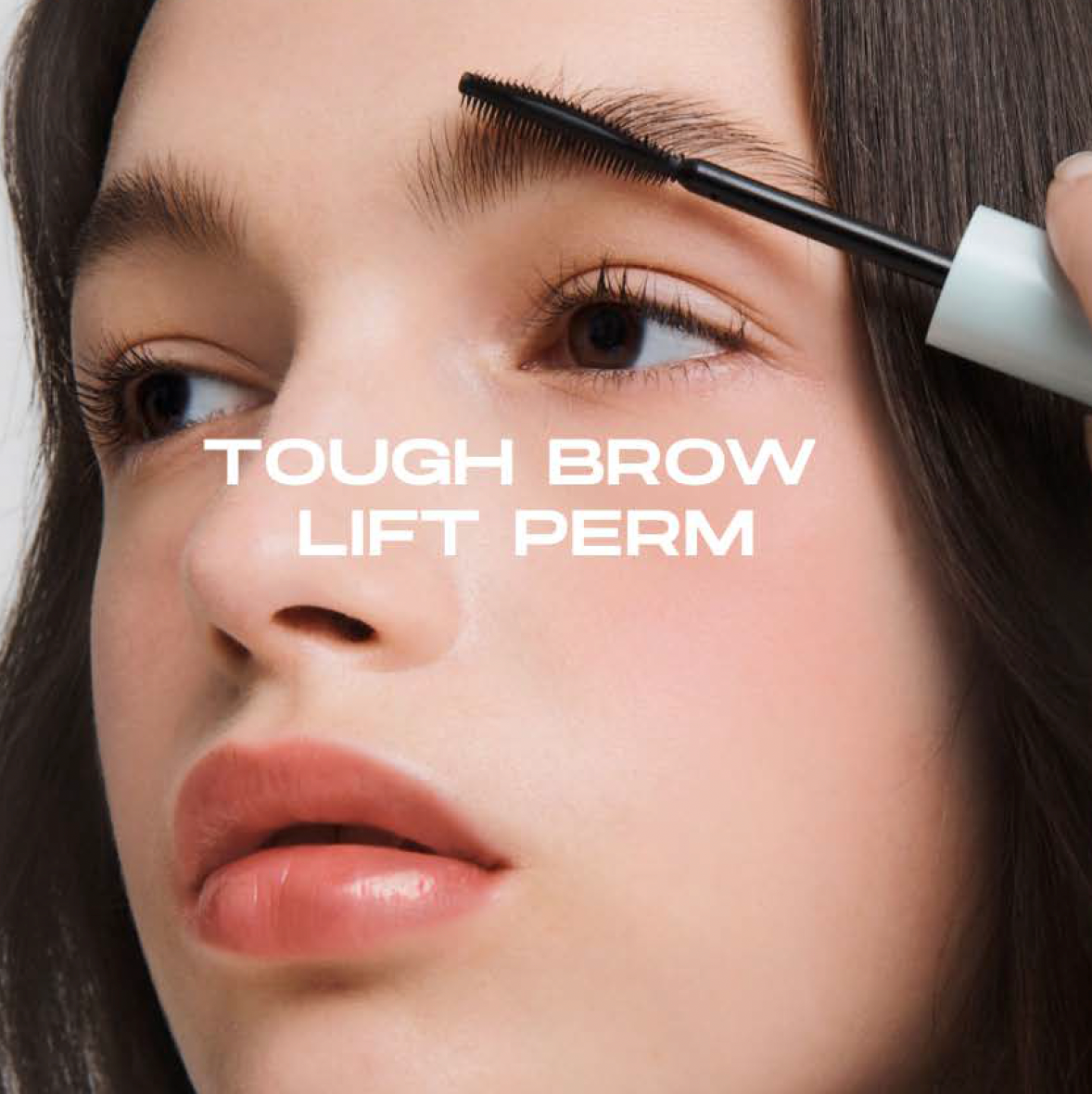 [ENTROPY] Tough Brow Lift Perm 20g